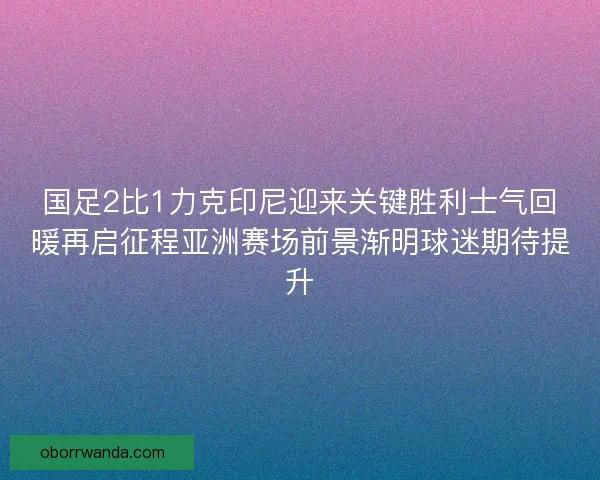 国足2比1力克印尼迎来关键胜利士气回暖再启征程亚洲赛场前景渐明球迷期待提升