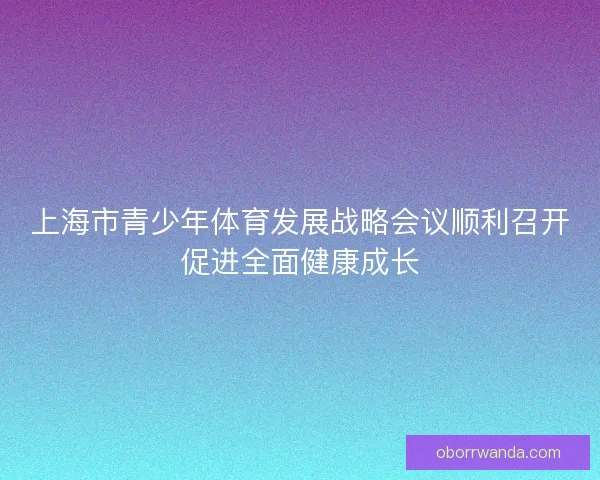 上海市青少年体育发展战略会议顺利召开促进全面健康成长