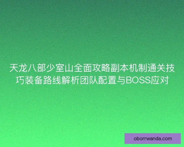 天龙八部少室山全面攻略副本机制通关技巧装备路线解析团队配置与BOSS应对