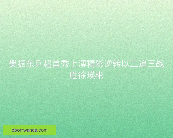 樊振东乒超首秀上演精彩逆转以二追三战胜徐瑛彬
